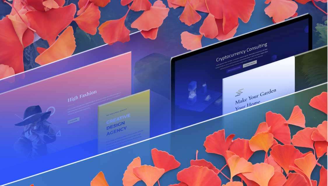 Ginkgo Design - all in one web design package Ginkgo Design - computer screens showing websites with Ginkgo leaves in the background